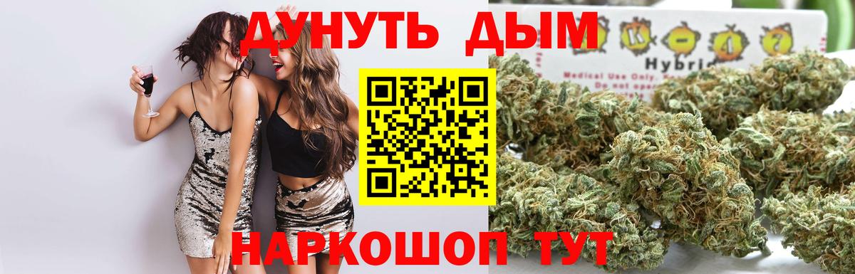 Конопля OG Kush Михайловск